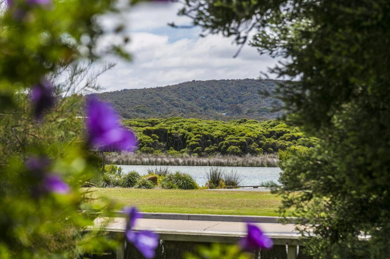 Rivernook Anglesea Exteriér fotografie